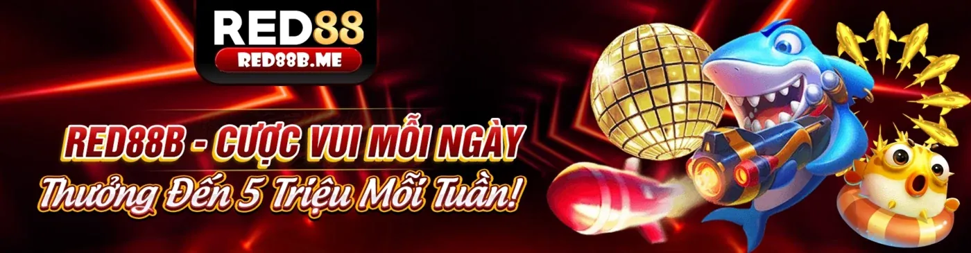Ứng dụng 678win trên di động