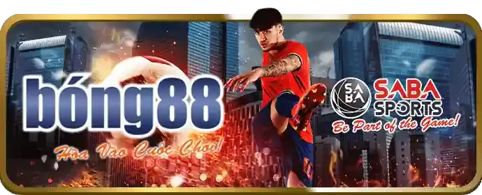Cá cược Thể Thao 678win