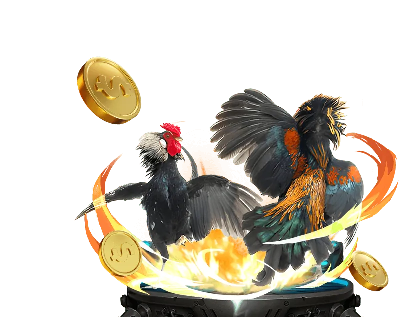 Sòng bạc trực tiếp nohu64